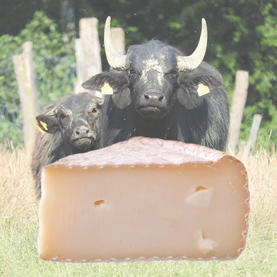 Produktfoto zu Büffelkäse