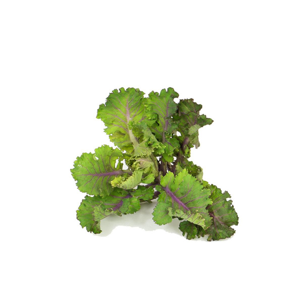 Produktfoto zu Flower Sprouts