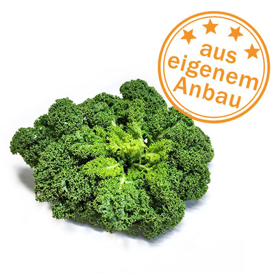Produktfoto zu Grünkohl-Kopf für Salat