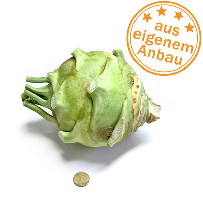Produktfoto zu Kohlrabi, Superschmelz, eigen, ca. 2 kg