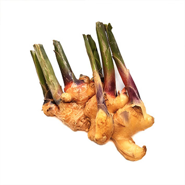 Produktfoto zu Ingwer frisch