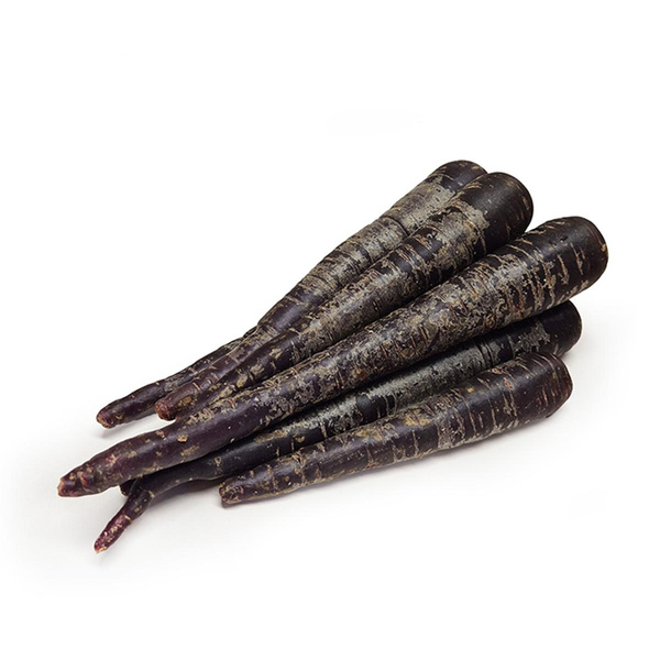 Produktfoto zu Möhre "Purpurne Paula"