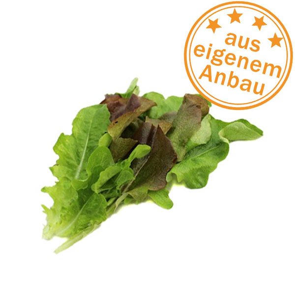 Produktfoto zu Schnittsalat