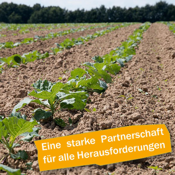 Produktfoto zu Ein Acker für Dich - Biokiste