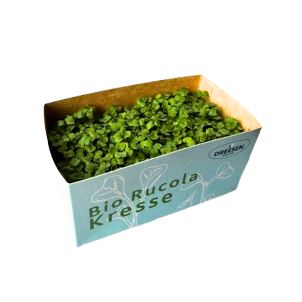 Produktfoto zu Rucola Kresse
