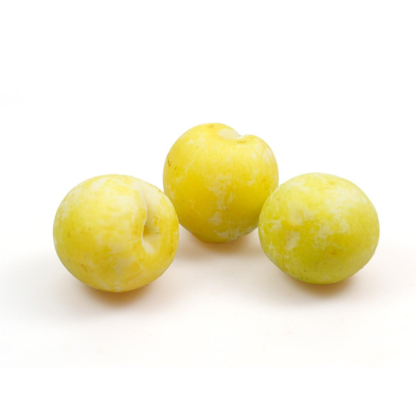 Produktfoto zu Pflaume, gelb