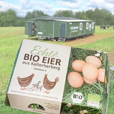 Produktfoto zu 6 Eier, aus dem Hühnermobil