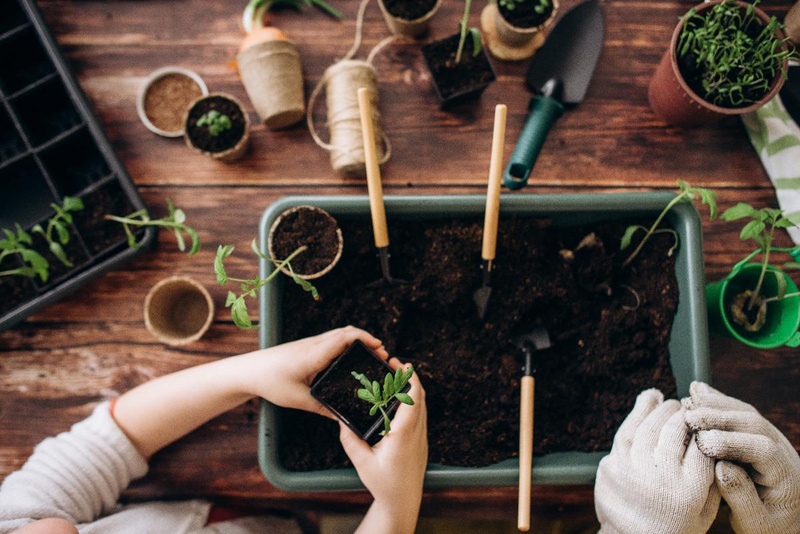 Garten- und Balkonsaison