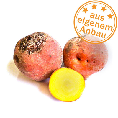 Produktfoto zu Gelbe Bete, eigen