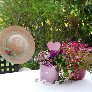 Hände halten frische, rote Tomaten an einer Pflanze im Grünen.
