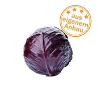 KI generiert: Ein Rotkohl mit einem Siegel: "aus eigenem Anbau".