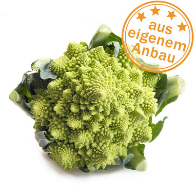 Produktfoto zu Romanesco, eigen, ca.700g