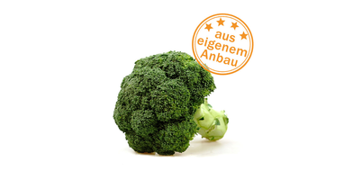 KI generiert: Ein Brokkoli mit dem Text "aus eigenem Anbau" auf einer Marke.