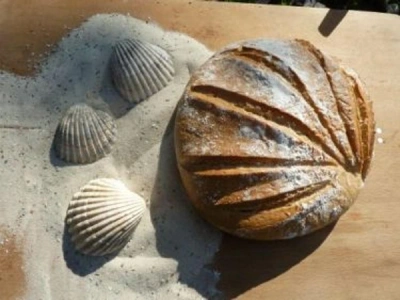 Produktfoto zu Dinkelmuschel 500g