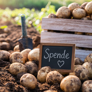 Kartoffeln im Feld mit Schild "Spende" und Herz.