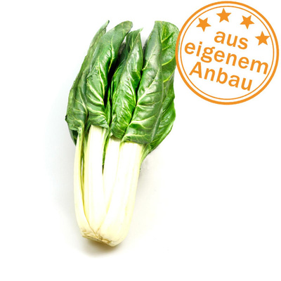 Produktfoto zu Mangold, eigen