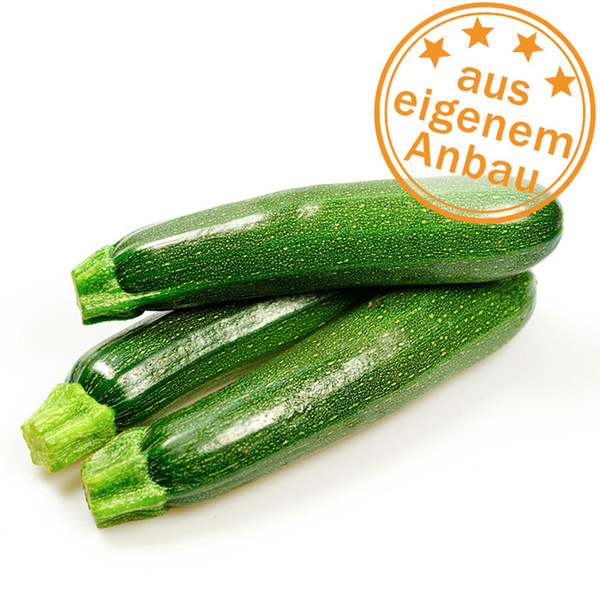 Produktfoto zu Zucchini, eigen
