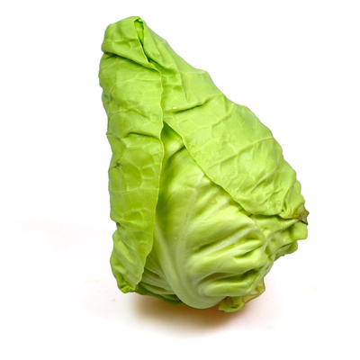 Produktfoto zu Spitzkohl, neue Ernte