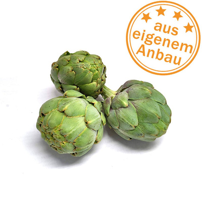 Produktfoto zu Artischocke, eigen