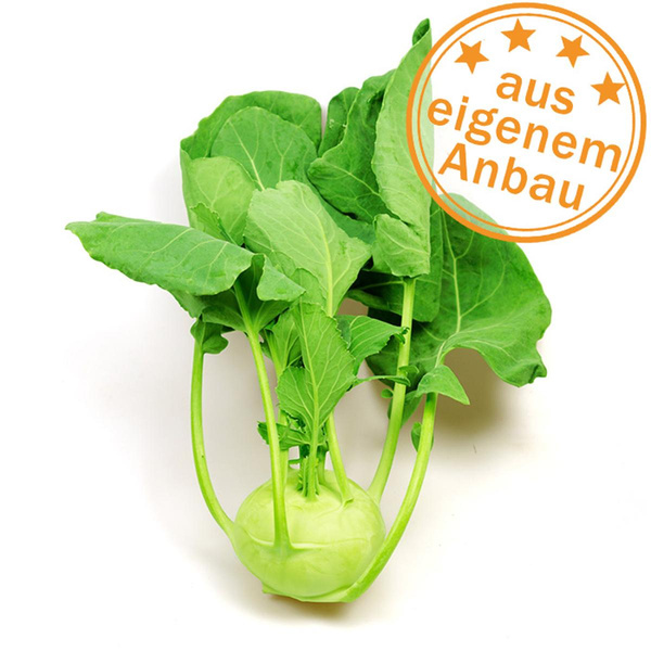 Produktfoto zu Kohlrabi, eigen