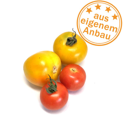 Produktfoto zu Tomaten, eigen