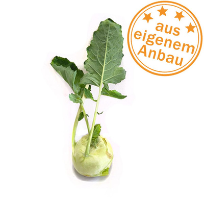 Produktfoto zu Kohlrabi, eigen