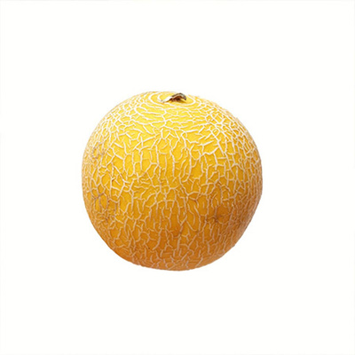 Produktfoto zu Galia Melone, Stück