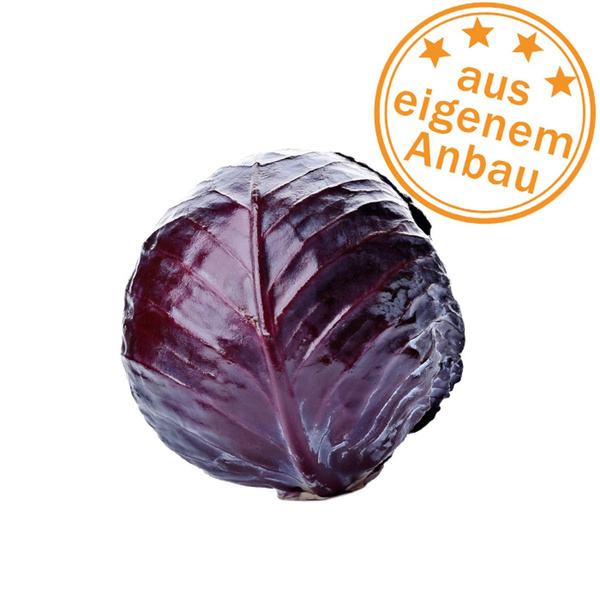 Produktfoto zu Rotkohl, mini, eigen, 500g