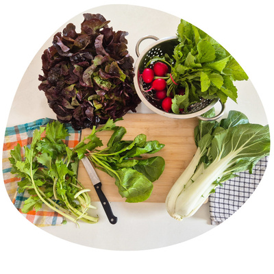 KI generiert: Frisches Gemüse: Salat, Radieschen, Pak Choi und Kräuter auf einem Schneidebrett mit Messer und Tüchern.