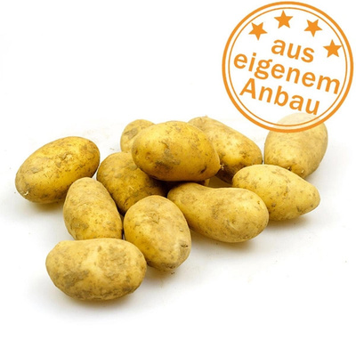 KI generiert: Kartoffeln auf weißem Hintergrund, Text: "aus eigenem Anbau".
