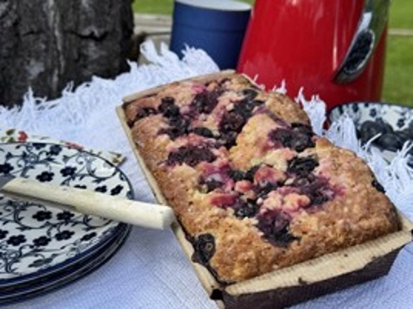 Produktfoto zu Picknick-Kuchen Heidelbeere 480g