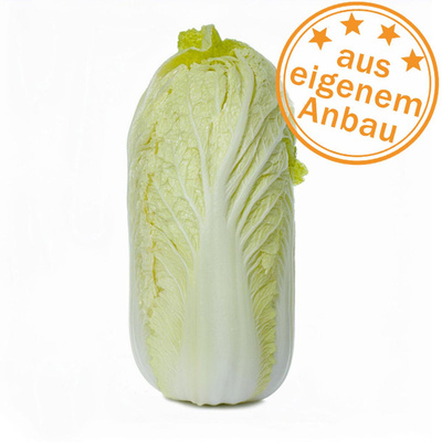 Produktfoto zu Chinakohl, klein, 500-700g