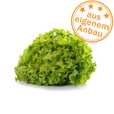Produktfoto zu Batavia, grün, eigen