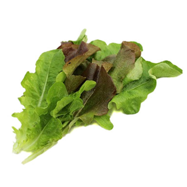 Produktfoto zu Schnittsalat