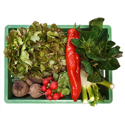 Produktfoto zu Schonkost-Mix