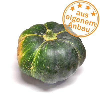 Produktfoto zu Kürbis Muskat, Teilstücke nach Wunsch, eigen