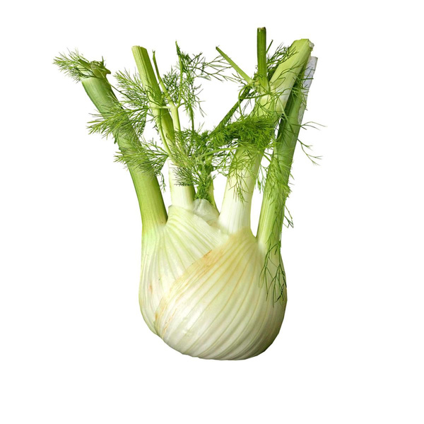Produktfoto zu Fenchel