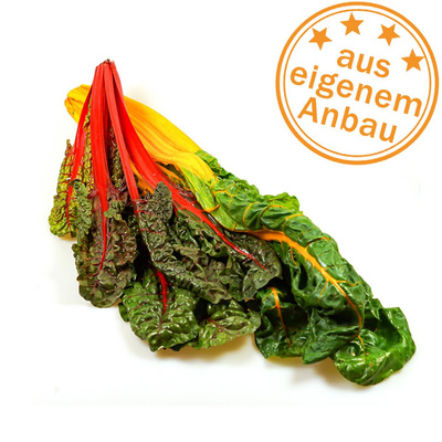 Produktfoto zu Mangold, bunt, eigen, lose Blätter