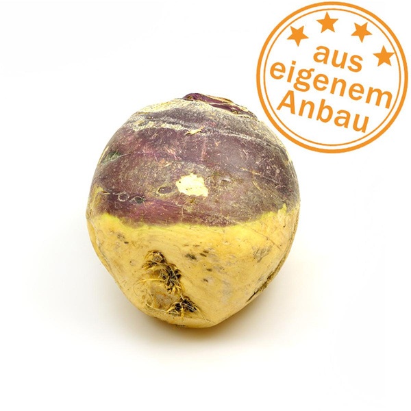 Produktfoto zu Steckrübe, eigen, Lagerware
