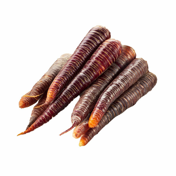 Produktfoto zu Möhre "Purpurne Paula"