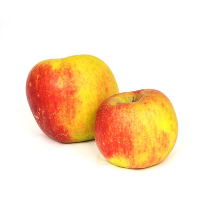 Produktfoto zu Apfel - Admiral, dick