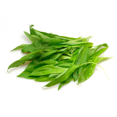 Produktfoto zu Bärlauch im Bund (ca. 50 g)