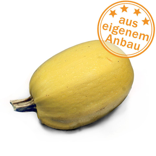 Produktfoto zu Kürbis Spaghetti, eigen, ca. 1 kg