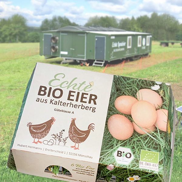 Produktfoto zu 6 Eier, aus dem Hühnermobil