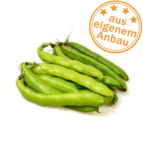 Produktfoto zu Dicke Bohnen, eigen