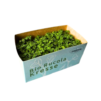 Produktfoto zu Rucola Kresse