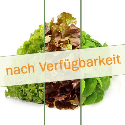 Produktfoto zu Salat, eigen