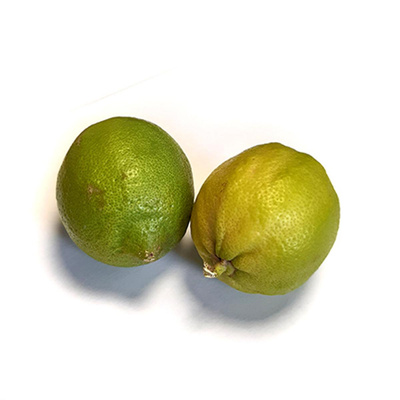 Produktfoto zu Zitronen, Sommerernte