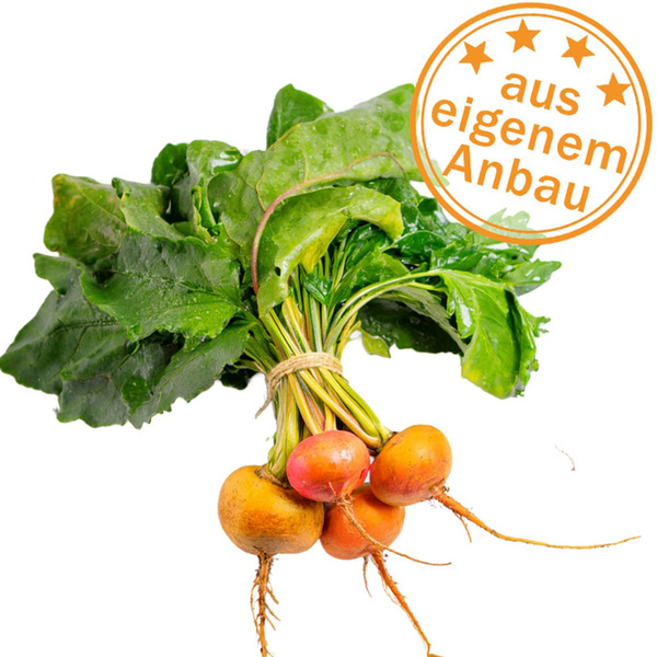 Produktfoto zu Gelbe Bete im Bund, eigen