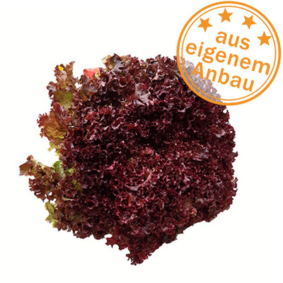 Produktfoto zu Lollo, rot, klein, eigen